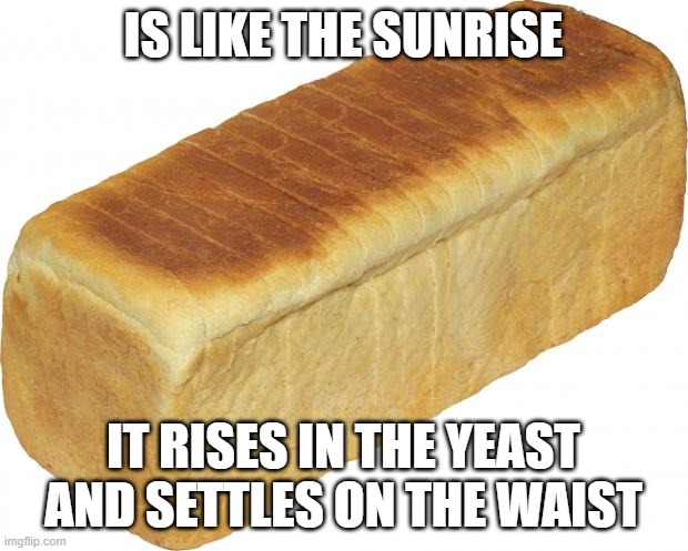 Breadddd | IS LIKE THE SUNRISE; IT RISES IN THE YEAST AND SETTLES ON THE WAIST | image tagged in breadddd | made w/ Imgflip meme maker