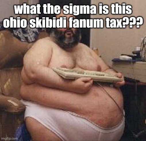 is alomost rizzmas | what the sigma is this ohio skibidi fanum tax??? | image tagged in confident fat guy | made w/ Imgflip meme maker