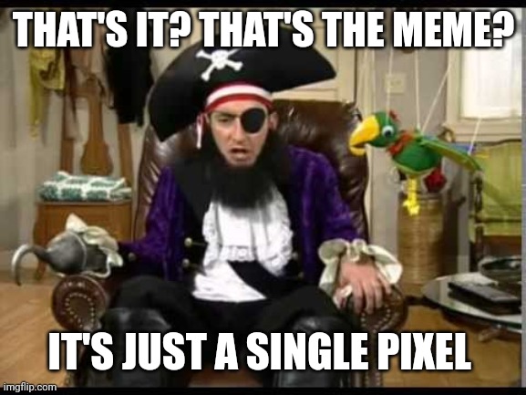 Patchy the pirate that's it? | THAT'S IT? THAT'S THE MEME? IT'S JUST A SINGLE PIXEL | image tagged in patchy the pirate that's it | made w/ Imgflip meme maker