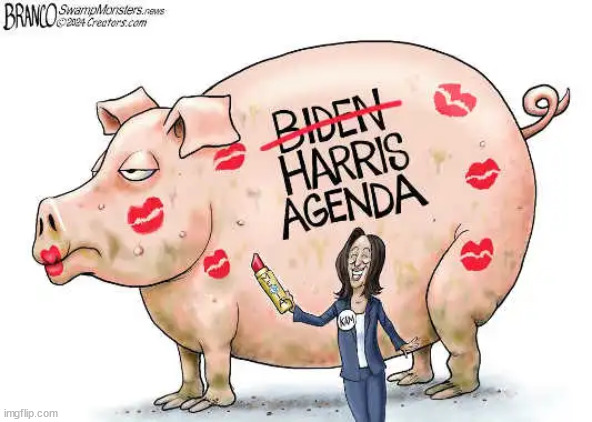 New lipstick on the pig | image tagged in bidenomics,sucks,say no to 4 more wars | made w/ Imgflip meme maker