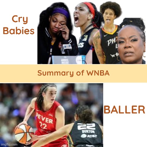 WNBA PAIN OF TRUTH | image tagged in wnba pain,memes,funny,funny memes | made w/ Imgflip meme maker