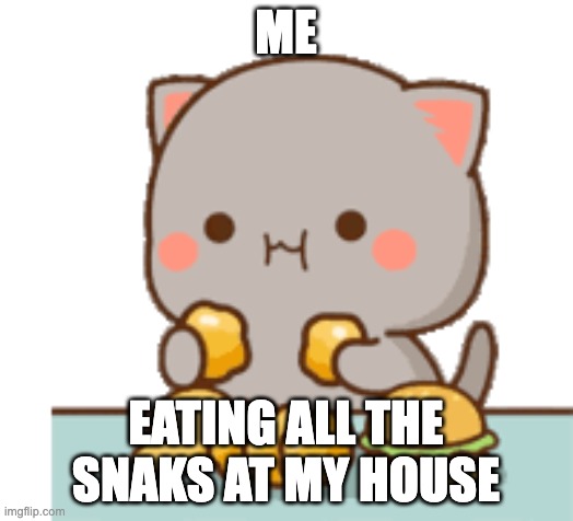 FRRY | ME; EATING ALL THE SNAKS AT MY HOUSE | made w/ Imgflip meme maker