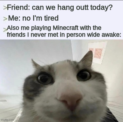 Cat playing minecraft - Imgflip