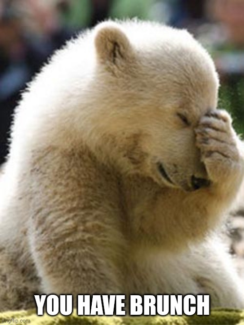 Facepalm Bear Meme | YOU HAVE BRUNCH | image tagged in memes,facepalm bear | made w/ Imgflip meme maker