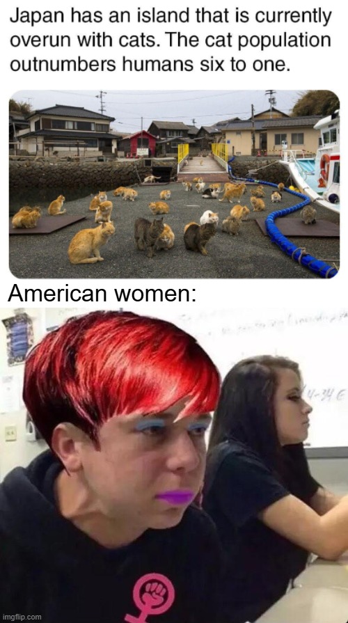 Proud cat ladies | American women: | image tagged in feminism,cats,funny,tense guy | made w/ Imgflip meme maker