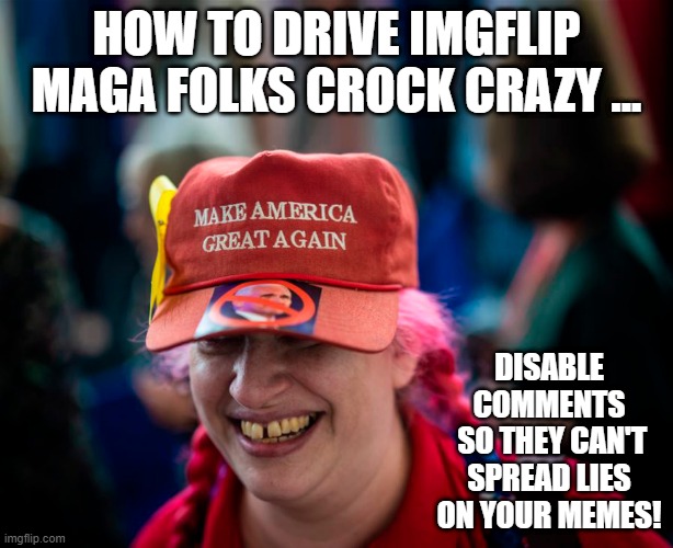 Can't spread lies if comments are disabled... | HOW TO DRIVE IMGFLIP MAGA FOLKS CROCK CRAZY ... DISABLE COMMENTS
 SO THEY CAN'T SPREAD LIES ON YOUR MEMES! | image tagged in comments,disabled,memes,lies,propaganda | made w/ Imgflip meme maker