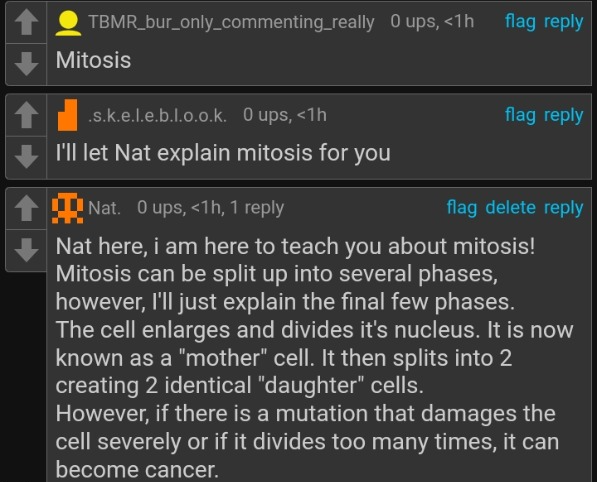 Mitosis Blank Meme Template