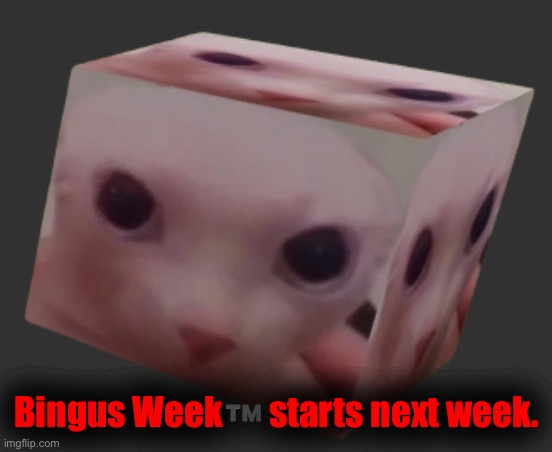 Bingus Week™️ | Bingus Week™️ starts next week. | image tagged in bingus cube | made w/ Imgflip meme maker