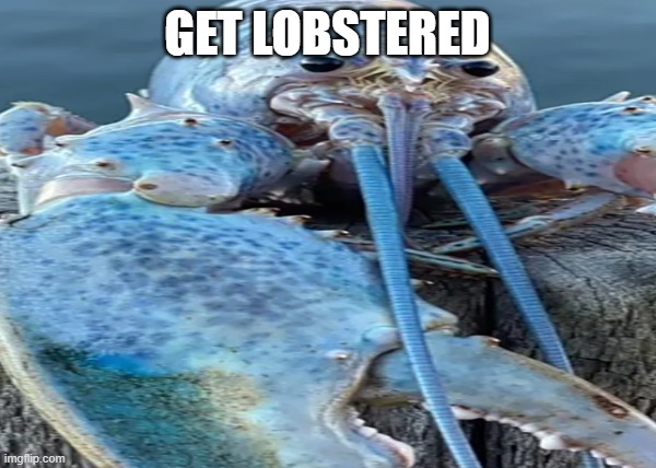 Blue Lobster | GET LOBSTERED | image tagged in blue lobster | made w/ Imgflip meme maker