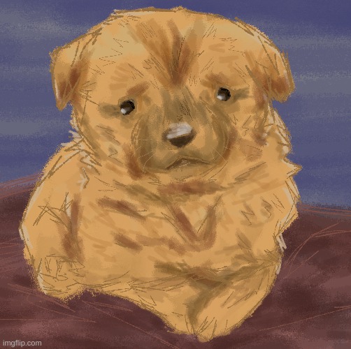 drew radium's dog | image tagged in drawing,god,i meant to type dog,but that kinda is the smae thing,dog | made w/ Imgflip meme maker