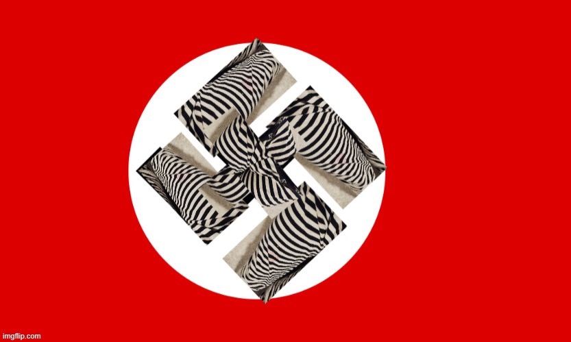 What the fuck | image tagged in ayden nazi flag | made w/ Imgflip meme maker