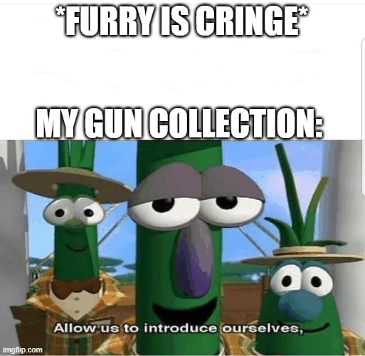 Allow us to introduce ourselves | *FURRY IS CRINGE* MY GUN COLLECTION: | image tagged in allow us to introduce ourselves | made w/ Imgflip meme maker