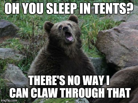 Sarcastic Bear | OH YOU SLEEP IN TENTS? THERE'S NO WAY I CAN CLAW THROUGH THAT | image tagged in sarcastic bear,AdviceAnimals | made w/ Imgflip meme maker