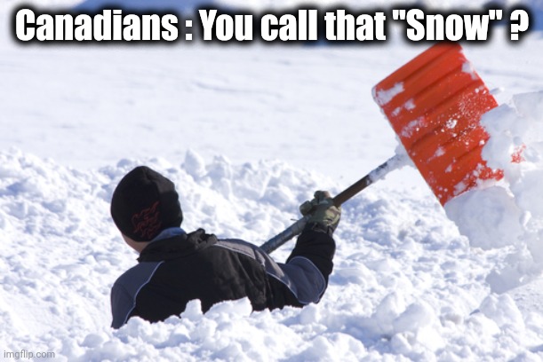 Blizzard | Canadians : You call that "Snow" ? | image tagged in blizzard | made w/ Imgflip meme maker