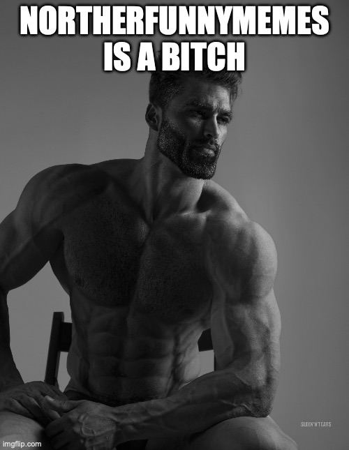 Giga Chad | NORTHERFUNNYMEMES IS A BITCH | image tagged in giga chad | made w/ Imgflip meme maker