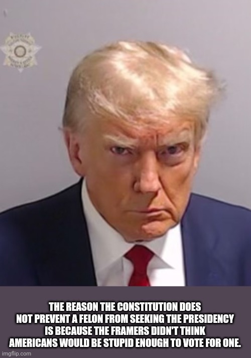 felon | THE REASON THE CONSTITUTION DOES NOT PREVENT A FELON FROM SEEKING THE PRESIDENCY IS BECAUSE THE FRAMERS DIDN'T THINK AMERICANS WOULD BE STUPID ENOUGH TO VOTE FOR ONE. | image tagged in donald trump mugshot,felon | made w/ Imgflip meme maker