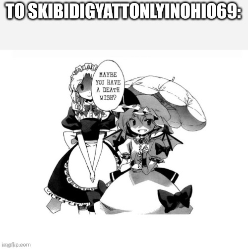 Touhou death wish | TO SKIBIDIGYATTONLYINOHIO69: | image tagged in touhou death wish | made w/ Imgflip meme maker