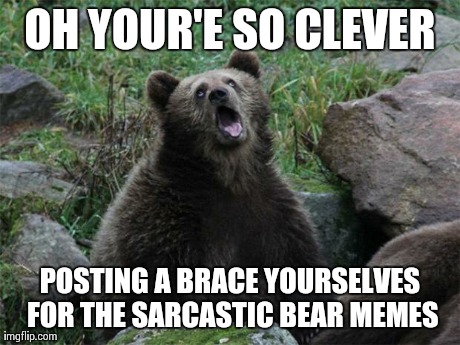 Sarcastic Bear | OH YOUR'E SO CLEVER POSTING A BRACE YOURSELVES FOR THE SARCASTIC BEAR MEMES | image tagged in sarcastic bear,AdviceAnimals | made w/ Imgflip meme maker