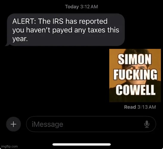 IRS report | image tagged in irs report | made w/ Imgflip meme maker