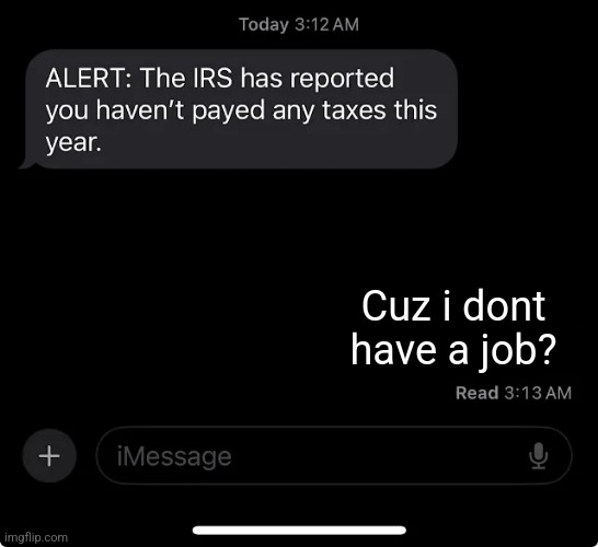 IRS-senpai plz raid Daddy Elon's house UwU | Cuz i dont have a job? | image tagged in irs report,tax,money,elon musk,first world problems,memes | made w/ Imgflip meme maker