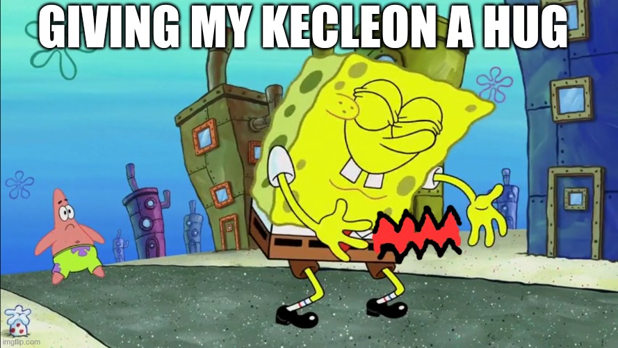 Pokemon love | GIVING MY KECLEON A HUG | image tagged in memes,funny,pokemon,love | made w/ Imgflip meme maker