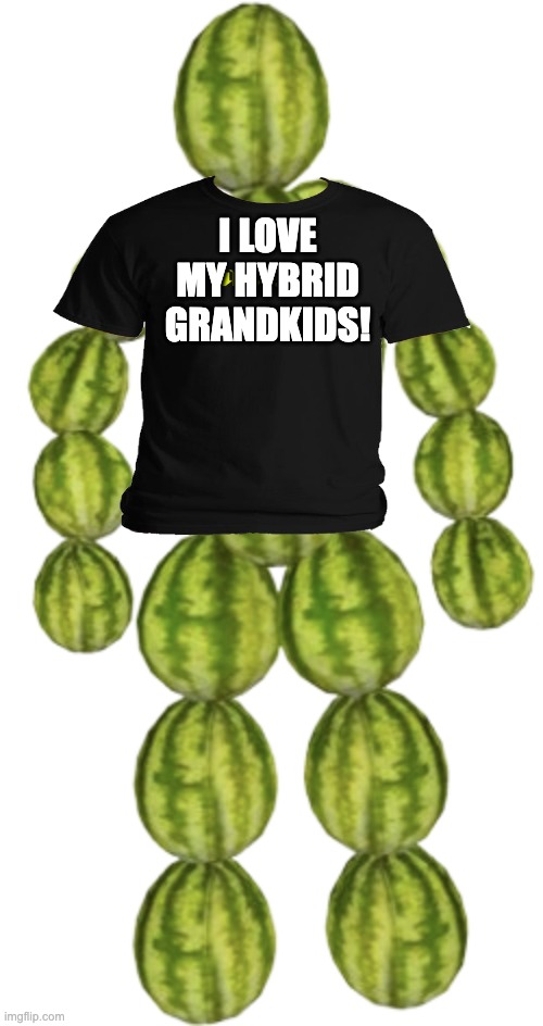 the watermelon man | I LOVE MY HYBRID GRANDKIDS! | image tagged in the watermelon man | made w/ Imgflip meme maker