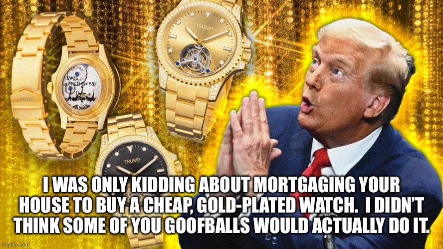 Can I live inside a watch? | I WAS ONLY KIDDING ABOUT MORTGAGING YOUR HOUSE TO BUY A CHEAP, GOLD-PLATED WATCH.  I DIDN’T THINK SOME OF YOU GOOFBALLS WOULD ACTUALLY DO IT. | made w/ Imgflip meme maker