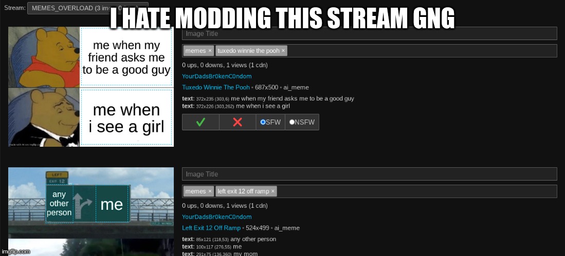 I HATE MODDING THIS STREAM GNG | made w/ Imgflip meme maker