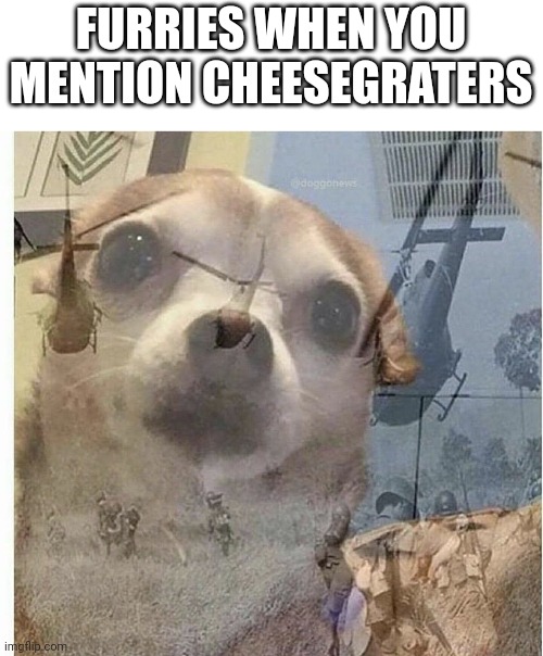 If ya know, ya know | FURRIES WHEN YOU MENTION CHEESEGRATERS | image tagged in ptsd chihuahua,furry,anti furry | made w/ Imgflip meme maker