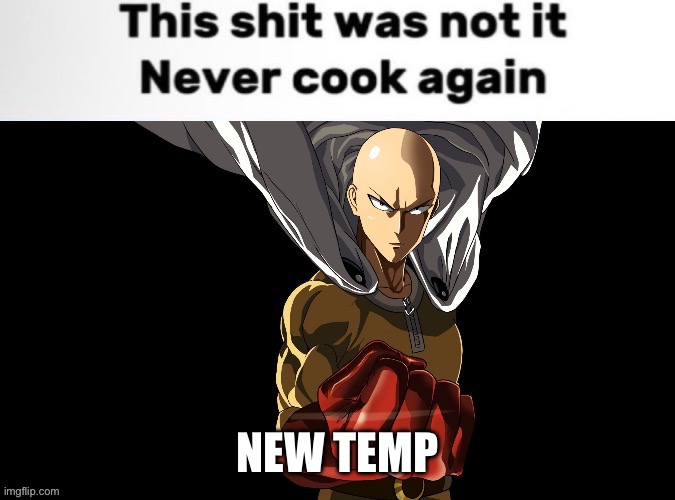 Saitama never cook again | NEW TEMP | image tagged in saitama never cook again | made w/ Imgflip meme maker