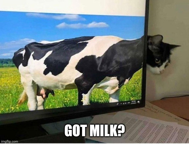 Caw | GOT MILK? | image tagged in got milk | made w/ Imgflip meme maker