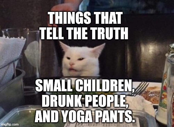 Smudge that darn cat | THINGS THAT TELL THE TRUTH; SMALL CHILDREN, DRUNK PEOPLE, AND YOGA PANTS. | image tagged in smudge that darn cat | made w/ Imgflip meme maker