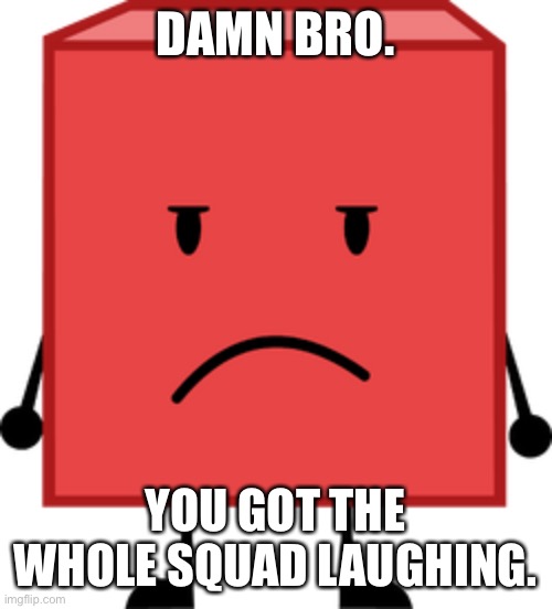 Blocky bfdi stare | DAMN BRO. YOU GOT THE WHOLE SQUAD LAUGHING. | image tagged in blocky bfdi stare | made w/ Imgflip meme maker