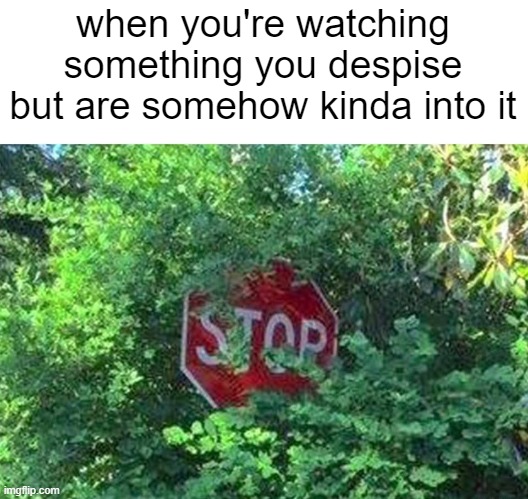 Stop Sign Behind Bushes | when you're watching something you despise but are somehow kinda into it | image tagged in stop sign behind bushes | made w/ Imgflip meme maker