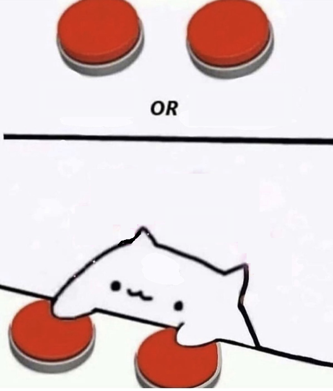 High Quality Cat with 2 choices Blank Meme Template