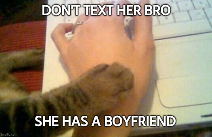 dont comment bro | DON'T TEXT HER BRO; SHE HAS A BOYFRIEND | image tagged in cat,preventing | made w/ Imgflip meme maker