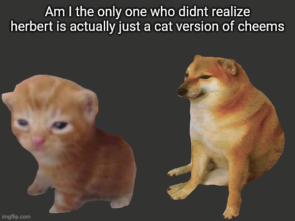 Am I the only one who didnt realize herbert is actually just a cat version of cheems | made w/ Imgflip meme maker