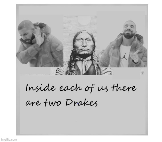 Two drakes | image tagged in drake hotline bling,inside you there are two wolves | made w/ Imgflip meme maker