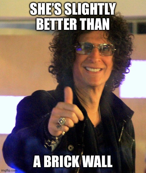 Howard Stern | SHE’S SLIGHTLY BETTER THAN A BRICK WALL | image tagged in howard stern | made w/ Imgflip meme maker