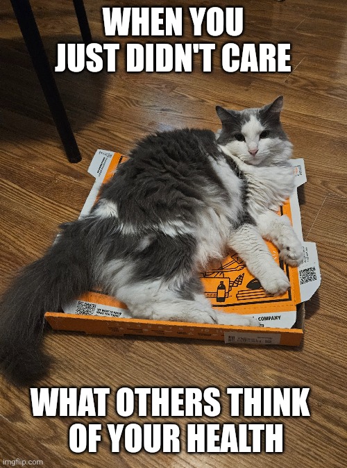 KITTY DON'T CARE | WHEN YOU JUST DIDN'T CARE; WHAT OTHERS THINK 
 OF YOUR HEALTH | image tagged in cats,funny cats,pizza | made w/ Imgflip meme maker