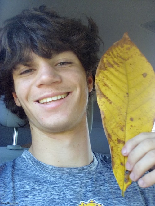 Leaf | made w/ Imgflip meme maker