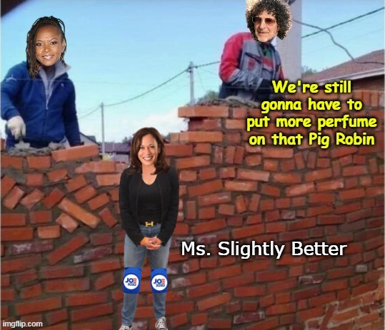 Stern endorses Kamala over wall | Ms. Slightly Better | image tagged in stern wall meme | made w/ Imgflip meme maker