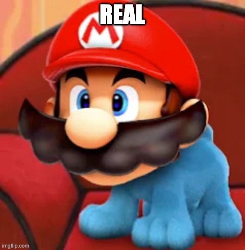 Mario blue's clues | REAL | image tagged in mario blue's clues | made w/ Imgflip meme maker