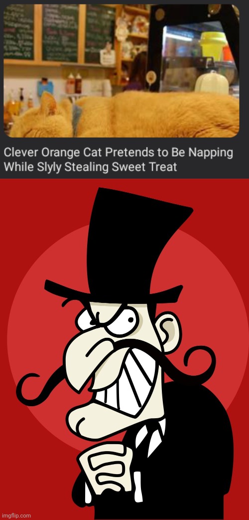 Very clever orange cat | image tagged in scheme,cats,cat,treat,memes,thief | made w/ Imgflip meme maker