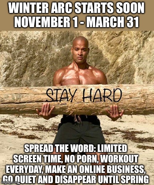 Please repost this and share it in other streams and lmk and I’ll upvote your repost | WINTER ARC STARTS SOON
NOVEMBER 1 - MARCH 31; SPREAD THE WORD: LIMITED SCREEN TIME, NO PORN, WORKOUT EVERYDAY, MAKE AN ONLINE BUSINESS, GO QUIET AND DISAPPEAR UNTIL SPRING | image tagged in david goggins stay hard,winter arc,self improvement,nofap,whos gonna carry the boats and the logs,you are | made w/ Imgflip meme maker