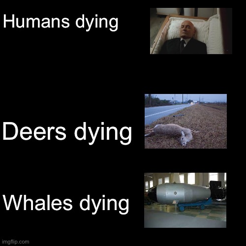 Humans dying; Deers dying; Whales dying | image tagged in memes,deers,humans,whales | made w/ Imgflip meme maker