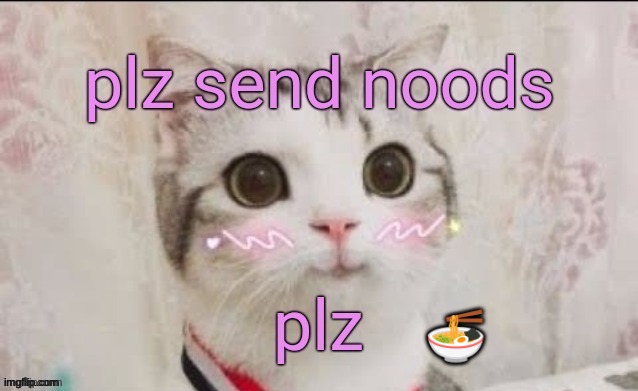 plz send noods cat | 🍜 | image tagged in plz send noods cat | made w/ Imgflip meme maker
