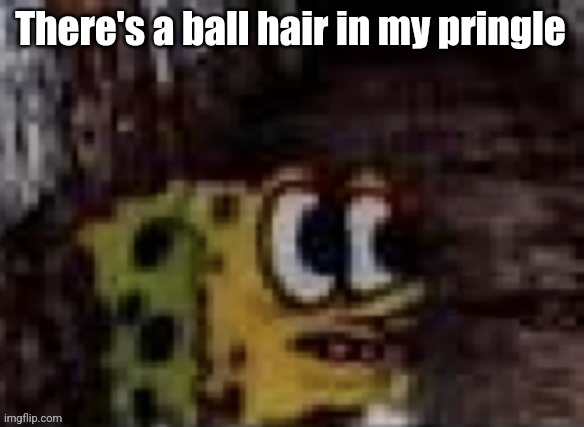 spunch bop trauma | There's a ball hair in my pringle | image tagged in spunch bop trauma | made w/ Imgflip meme maker