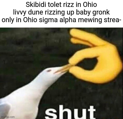 Shut | Skibidi tolet rizz in Ohio livvy dune rizzing up baby gronk only in Ohio sigma alpha mewing strea- | image tagged in shut,brainrot,only in ohio,skibidi toilet,mewing streak,sigma | made w/ Imgflip meme maker