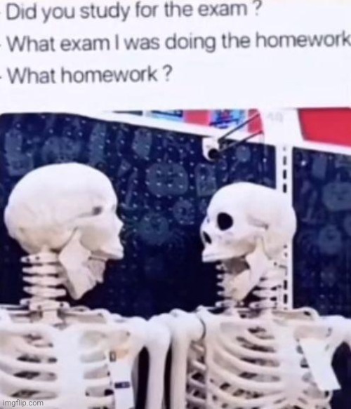 Image tagged in memes,relatable memes,school,exams,skeletons - Imgflip